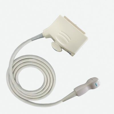 Buen precio Popular mayorista compatible con ultrasonido transductor de matriz de fase PST-25BT sonda de ultrasonido cabeza de cristal reemplazo y reparación en línea