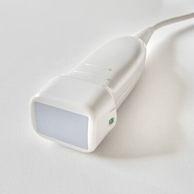 Good price Compatible Siemens P4-2 Ultrasound Transducer Phased Array Ultrasonic Probe for G40/X150/X300/X700 Replacement And Repair online