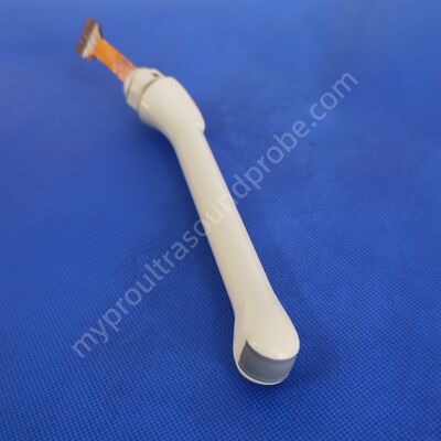 Harga yang bagus GE E8Cs Ultrasound Crystal Transvaginal Ultrasound Transducer Scanhead Akustik Mould on line