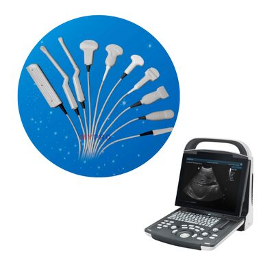 Buon prezzo Mindray DP-10 Ultrasound Machine Sistema di diagnostica digitale ad ultrasuoni in linea