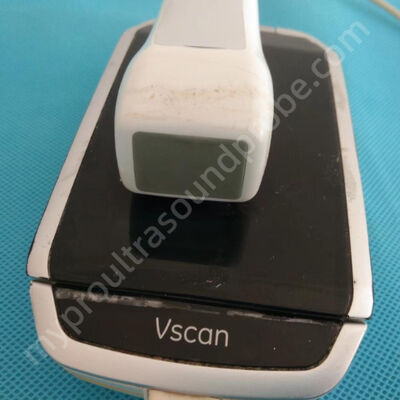 Good price GE VScan Wireless Ultrasound Probe Cardiac Ultrasound Transducer Probes Repair Service online