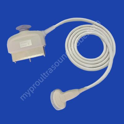 Guter Preis GE C1-5-D Konvex-Ultraschallsonde Ersatz für Logiq S7 Logiq S7pro Logiq S7 Expert Vivid E9 Voluson E6 Online