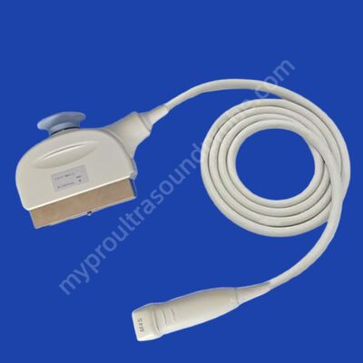 Goede prijs Matrix Cardiac GE M4S Ultrasound Probe Transducer voor Vivid 7 online