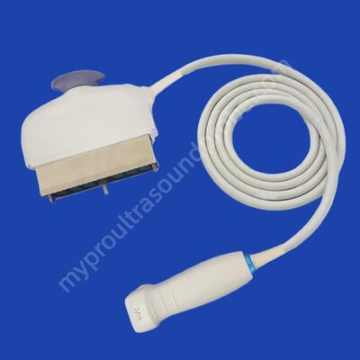 Harga yang bagus Transduser Probe Ultrasound Array GE 4Vc-D Phased untuk Diagnosis Medis dengan Desain awet on line