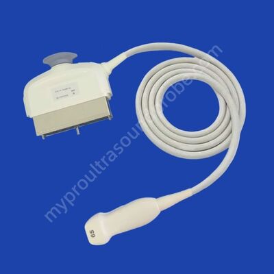 Harga yang bagus Probe Transduser Ultrasonografi Phased Array GE 6S-D Untuk Vivid E90 Vivid E95 Vivid S60N on line
