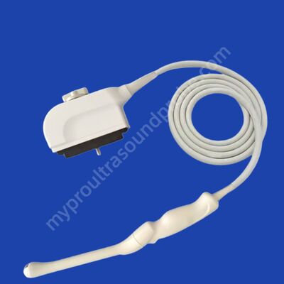 Guter Preis Medison EC4-9/10ED-N Ultraschall-Human-Ultraschall-Transvaginalsonde für SA X4 SA 5500 SA 6000 Ersatz und Reparatur Online
