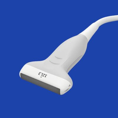 Bom preço Substituição nova original da ponta de prova do ultrassom do equipamento médico 12L3 para o transdutor linear do zimbro de Siemens on-line